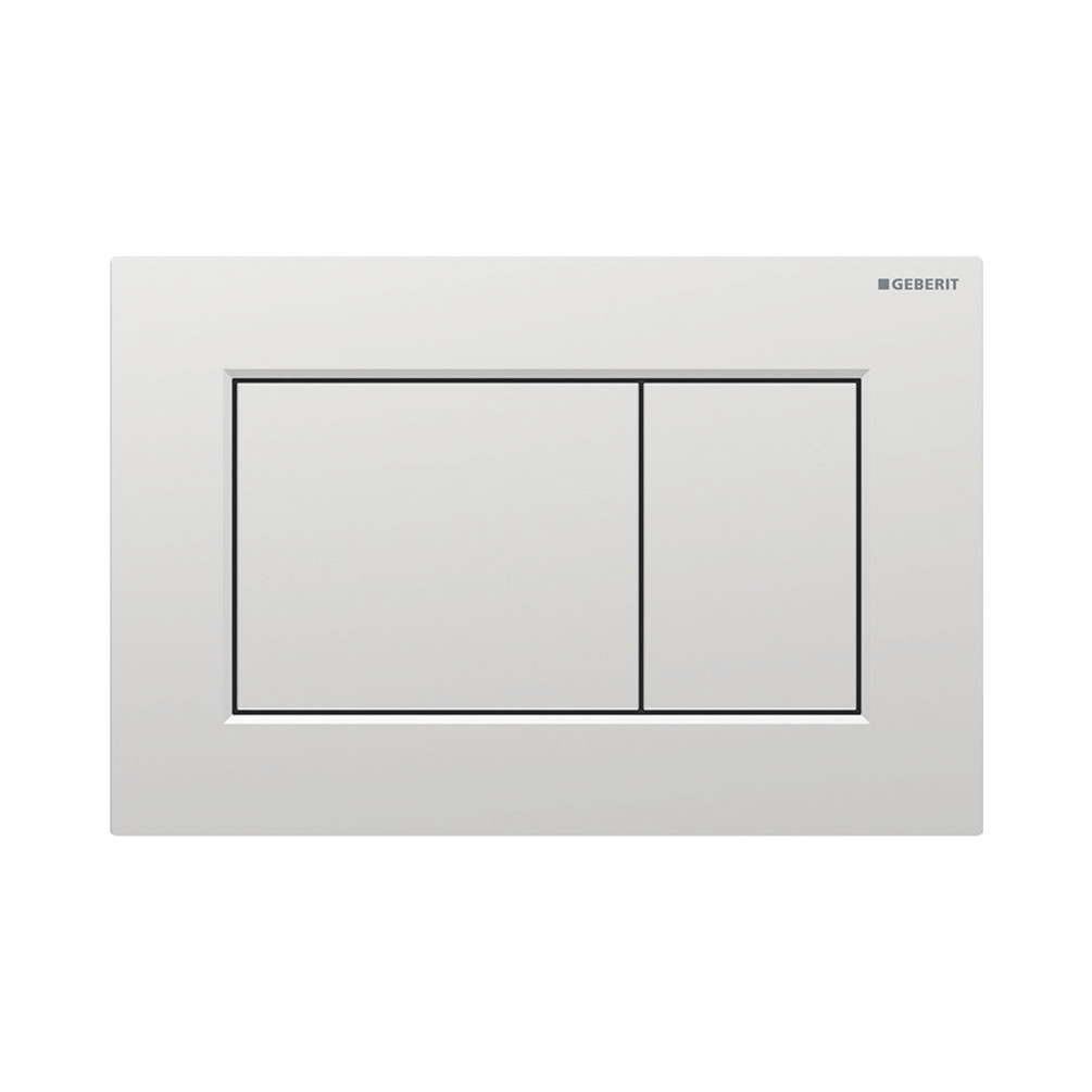 Cutout image of Geberit Sigma01 Square Matt Chrome Dual Flush Plate